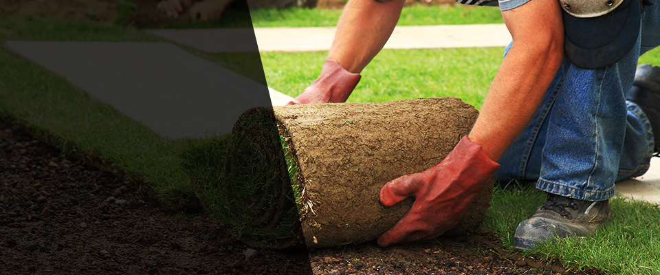 Charlestown Landscapers